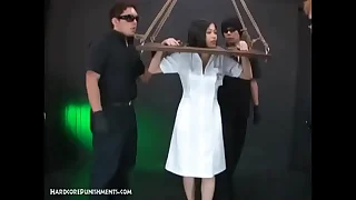 2646 horny porn videos